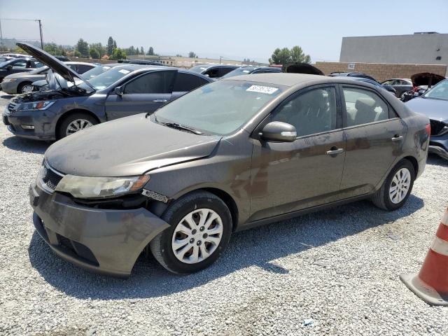 KIA FORTE 2010 knafu4a25a5102112