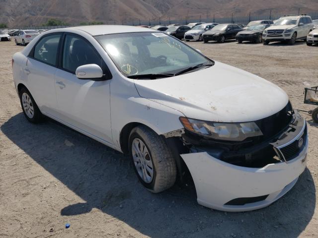 KIA FORTE EX 2010 knafu4a25a5103972