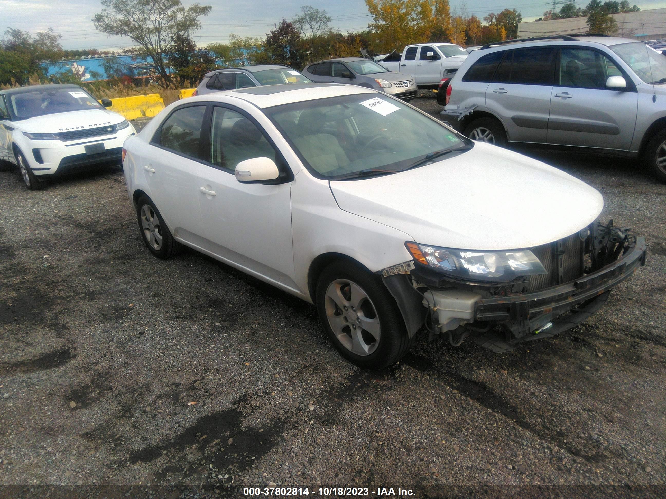 KIA FORTE 2010 knafu4a25a5109741