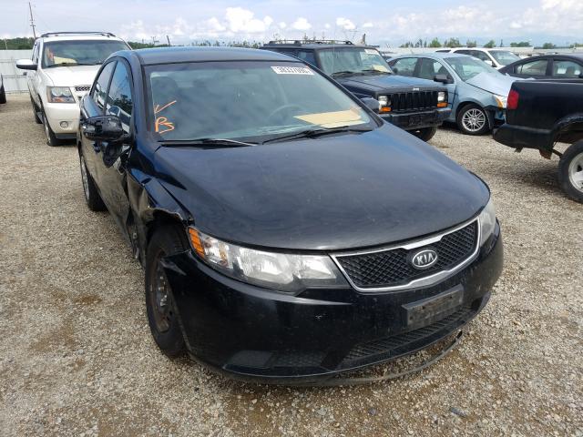 KIA FORTE EX 2010 knafu4a25a5110002