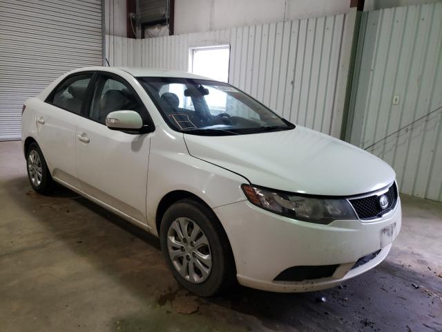 KIA FORTE EX 2010 knafu4a25a5110176