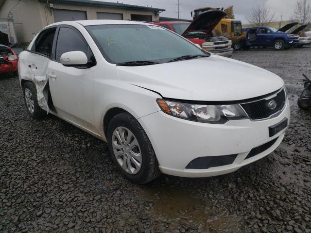 KIA FORTE EX 2010 knafu4a25a5115037