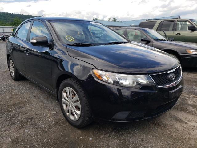 KIA FORTE 2010 knafu4a25a5120352