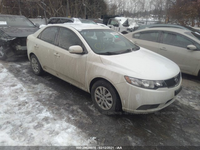 KIA FORTE 2010 knafu4a25a5129147