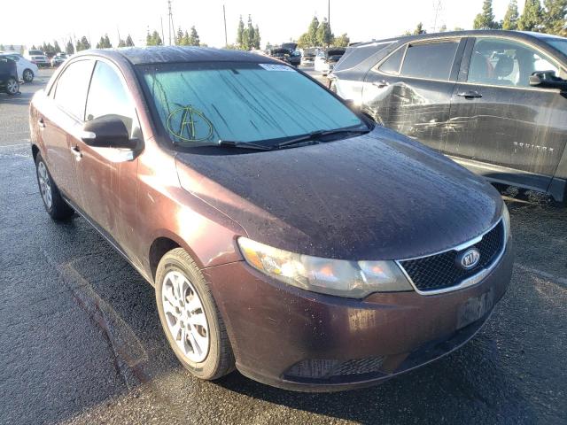 KIA FORTE EX 2010 knafu4a25a5133473