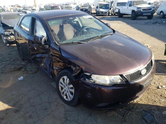 KIA FORTE EX 2010 knafu4a25a5141802