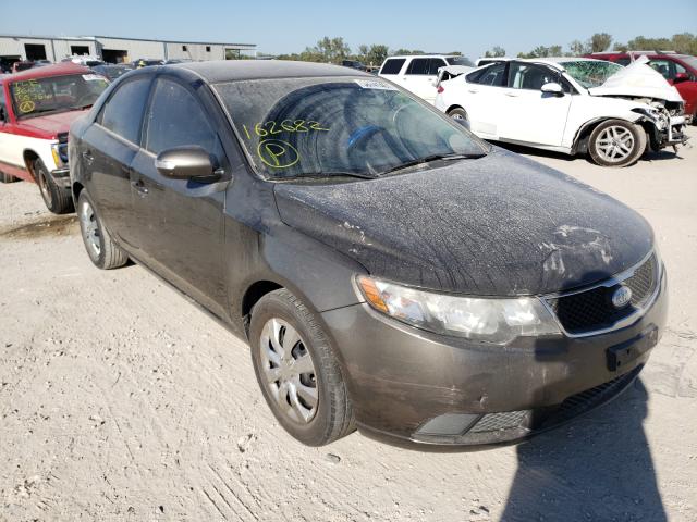 KIA FORTE EX 2010 knafu4a25a5162682