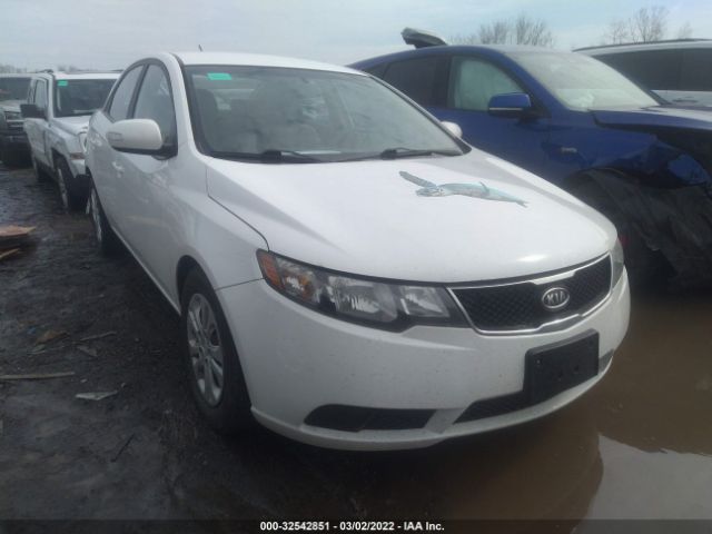 KIA FORTE 2010 knafu4a25a5171365