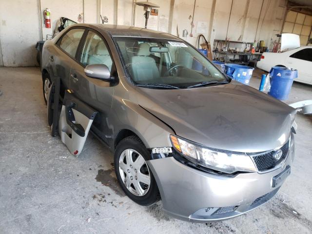 KIA FORTE EX 2010 knafu4a25a5175738