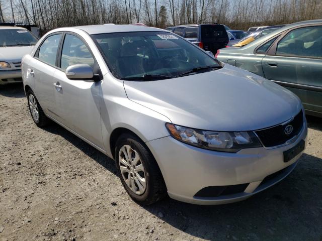 KIA FORTE EX 2010 knafu4a25a5177151