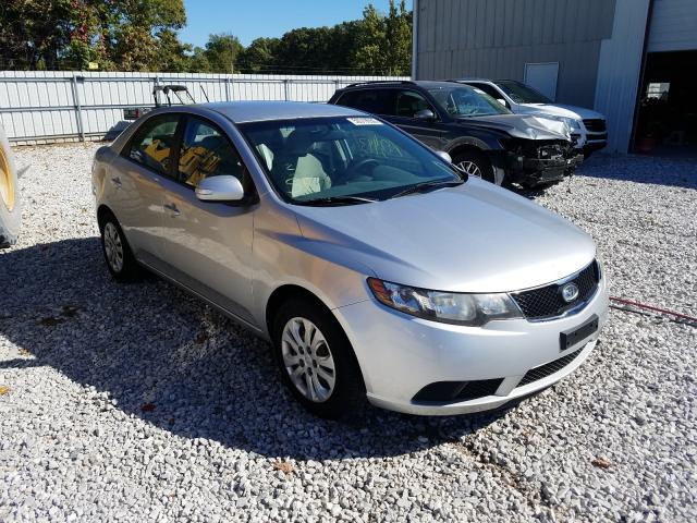 KIA FORTE EX 2010 knafu4a25a5184438