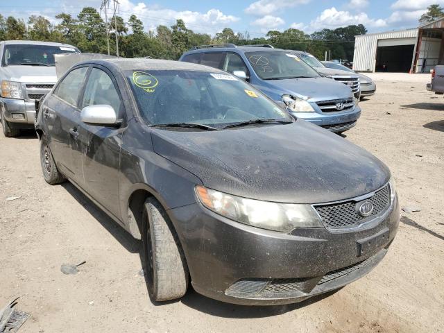 KIA FORTE EX 2010 knafu4a25a5194189