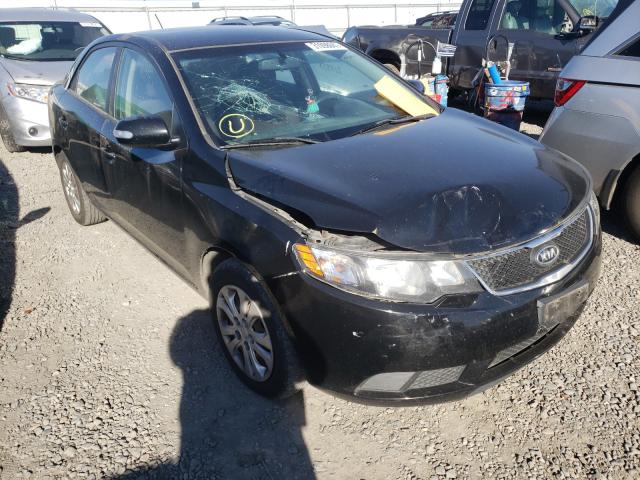 KIA FORTE EX 2010 knafu4a25a5201870