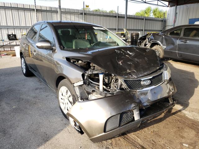 KIA FORTE EX 2010 knafu4a25a5214716