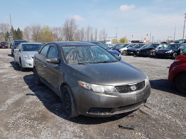 KIA FORTE EX 2010 knafu4a25a5225764