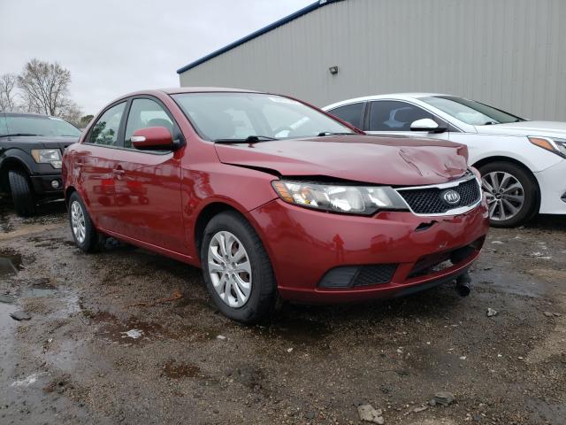 KIA FORTE EX 2010 knafu4a25a5232987