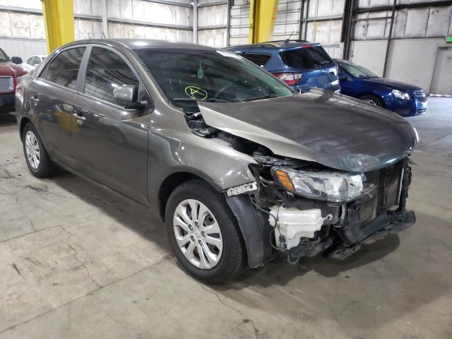 KIA FORTE EX 2010 knafu4a25a5235999