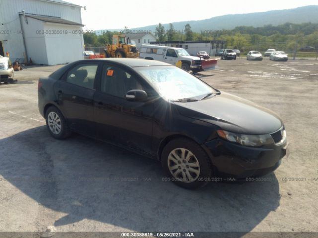 KIA FORTE 2010 knafu4a25a5237624