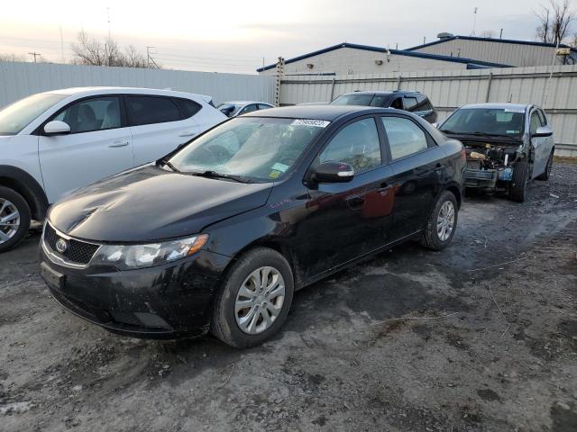 KIA FORTE EX 2010 knafu4a25a5241818