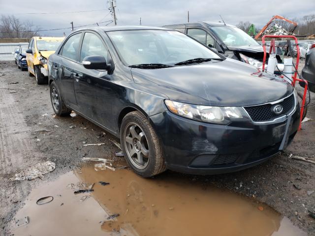 KIA FORTE 2010 knafu4a25a5242662