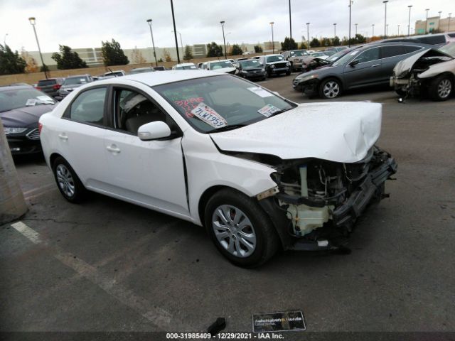 KIA FORTE 2010 knafu4a25a5242676