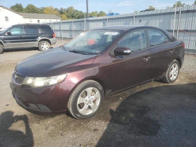 KIA FORTE EX 2010 knafu4a25a5247697