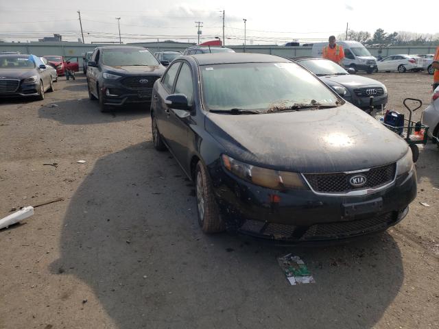 KIA FORTE EX 2010 knafu4a25a5248929