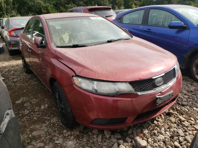 KIA FORTE EX 2010 knafu4a25a5255895