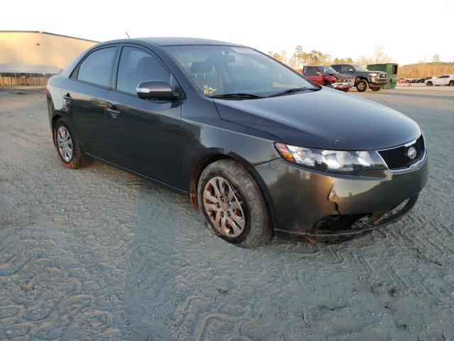 KIA FORTE EX 2010 knafu4a25a5262085