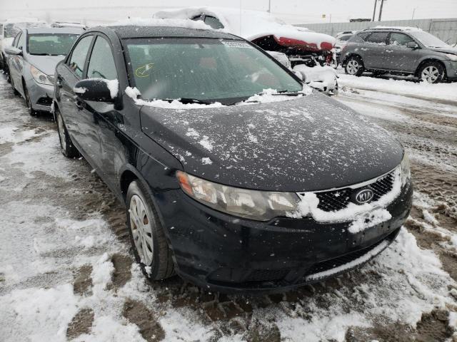 KIA FORTE EX 2010 knafu4a25a5285818