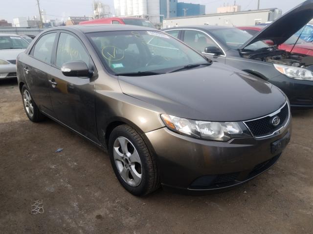 KIA FORTE EX 2010 knafu4a25a5286340