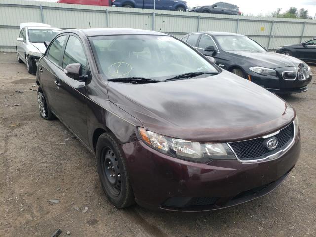 KIA FORTE EX 2010 knafu4a25a5292865