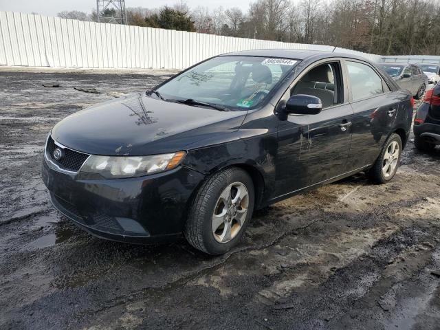 KIA FORTE 2010 knafu4a25a5296916