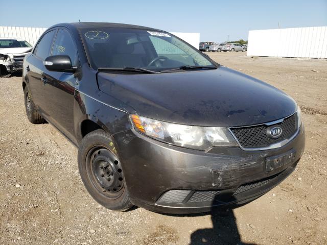 KIA FORTE EX 2010 knafu4a25a5298911