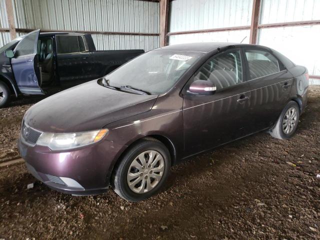 KIA FORTE EX 2010 knafu4a25a5301483