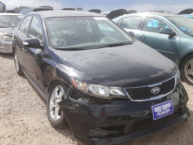 KIA FORTE EX 2010 knafu4a25a5302083