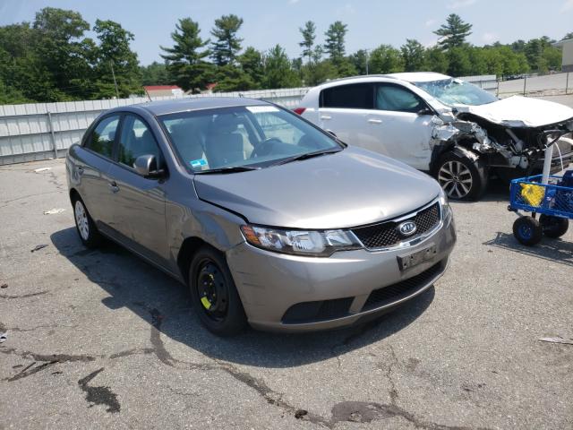 KIA FORTE EX 2010 knafu4a25a5303329