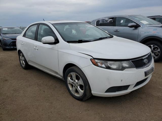 KIA FORTE 2010 knafu4a25a5307476