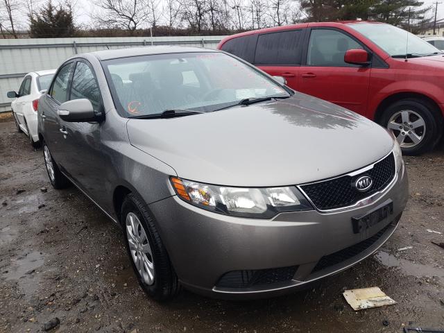 KIA FORTE EX 2010 knafu4a25a5810103