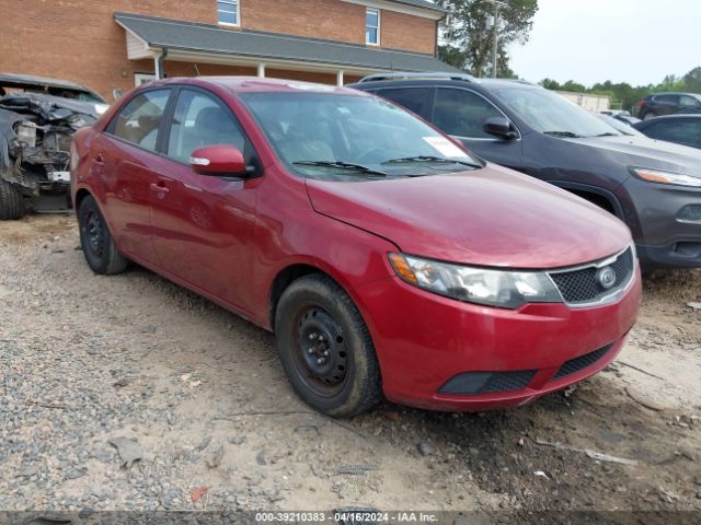 KIA FORTE 2010 knafu4a25a5810229