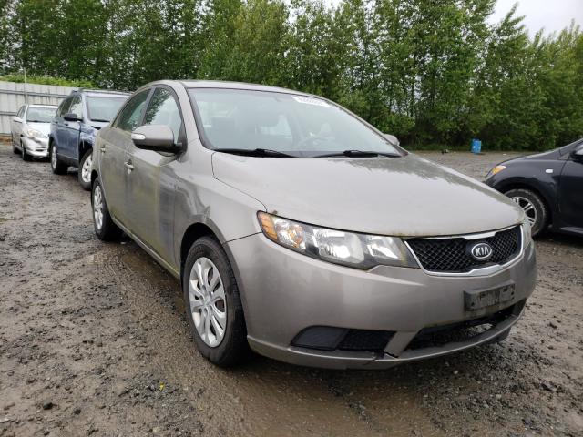 KIA FORTE EX 2010 knafu4a25a5813356