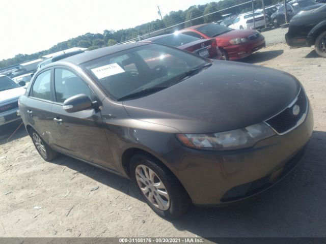 KIA FORTE 2010 knafu4a25a5831484