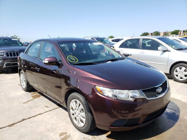 KIA FORTE EX 2010 knafu4a25a5834787