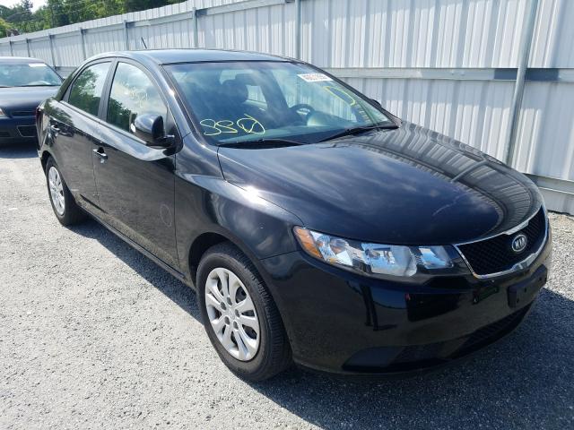 KIA FORTE EX 2010 knafu4a25a5847345