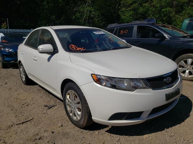 KIA FORTE EX 2010 knafu4a25a5849600