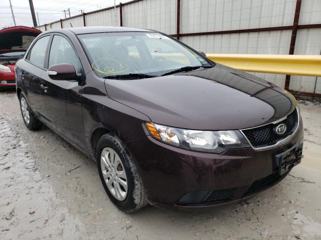 KIA FORTE EX 2010 knafu4a25a5850424