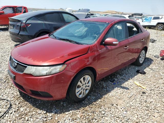 KIA FORTE 2010 knafu4a25a5857521