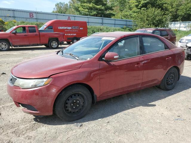 KIA FORTE EX 2010 knafu4a25a5858412