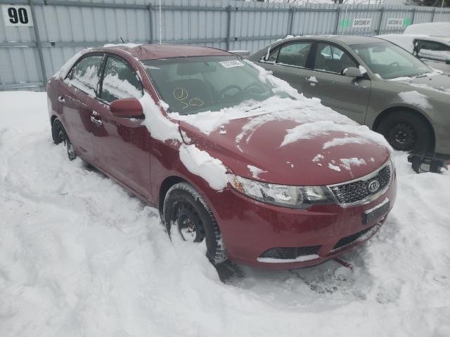 KIA FORTE EX 2011 knafu4a25b5320181