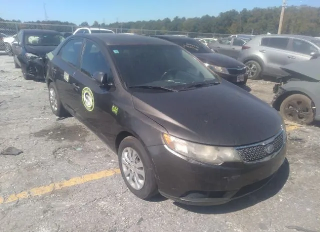 KIA FORTE 2011 knafu4a25b5374368